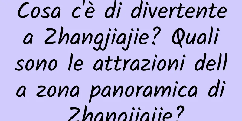 Cosa c'è di divertente a Zhangjiajie? Quali sono le attrazioni della zona panoramica di Zhangjiajie?