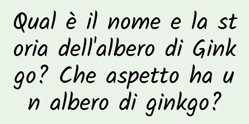 Qual è il nome e la storia dell'albero di Ginkgo? Che aspetto ha un albero di ginkgo?