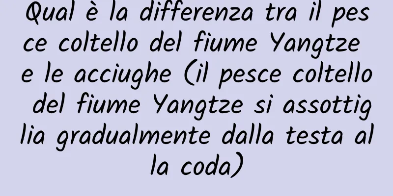 Qual è la differenza tra il pesce coltello del fiume Yangtze e le acciughe (il pesce coltello del fiume Yangtze si assottiglia gradualmente dalla testa alla coda)