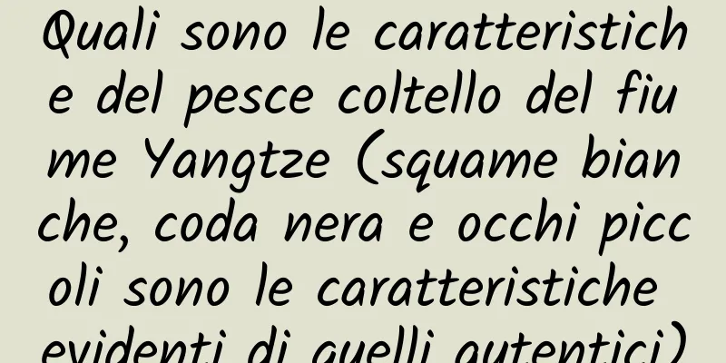 Quali sono le caratteristiche del pesce coltello del fiume Yangtze (squame bianche, coda nera e occhi piccoli sono le caratteristiche evidenti di quelli autentici)