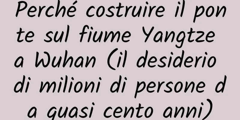 Perché costruire il ponte sul fiume Yangtze a Wuhan (il desiderio di milioni di persone da quasi cento anni)
