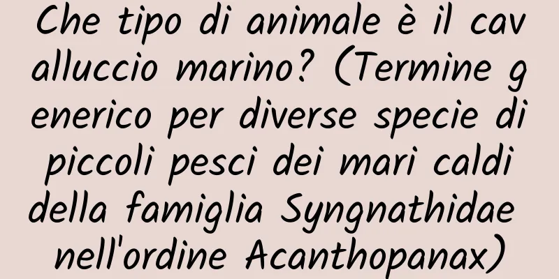 Che tipo di animale è il cavalluccio marino? (Termine generico per diverse specie di piccoli pesci dei mari caldi della famiglia Syngnathidae nell'ordine Acanthopanax)