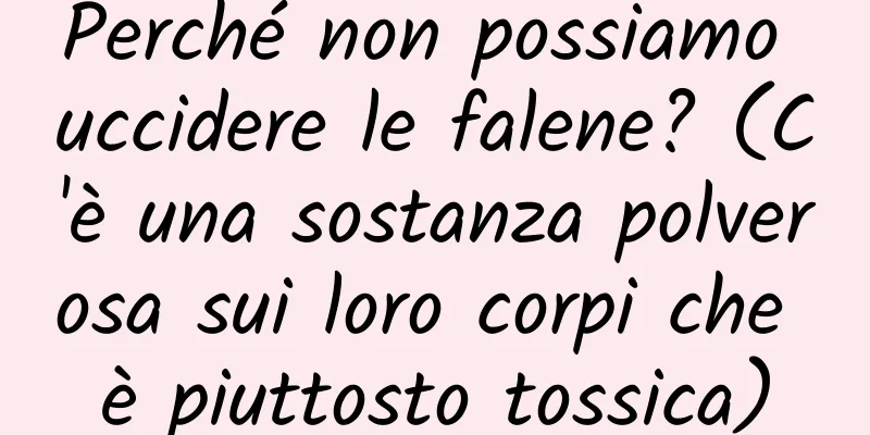 Perché non possiamo uccidere le falene? (C'è una sostanza polverosa sui loro corpi che è piuttosto tossica)