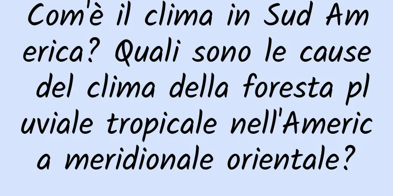 Com'è il clima in Sud America? Quali sono le cause del clima della foresta pluviale tropicale nell'America meridionale orientale?