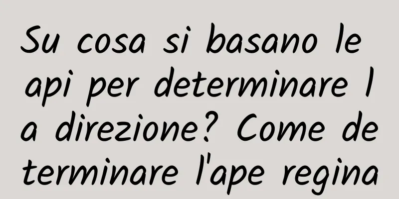 Su cosa si basano le api per determinare la direzione? Come determinare l'ape regina