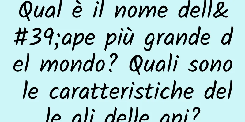 Qual è il nome dell'ape più grande del mondo? Quali sono le caratteristiche delle ali delle api?