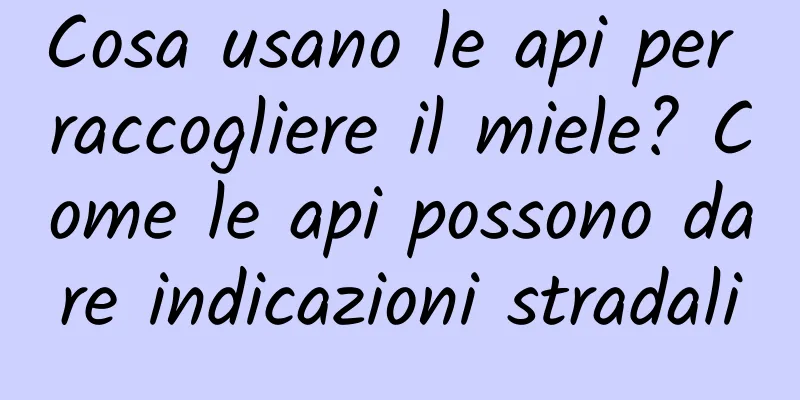 Cosa usano le api per raccogliere il miele? Come le api possono dare indicazioni stradali
