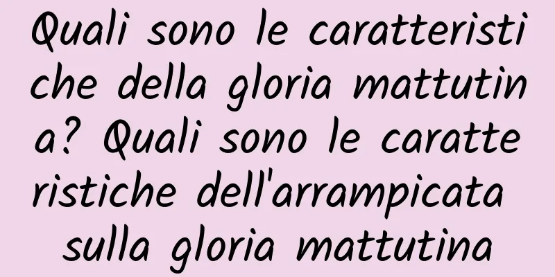 Quali sono le caratteristiche della gloria mattutina? Quali sono le caratteristiche dell'arrampicata sulla gloria mattutina