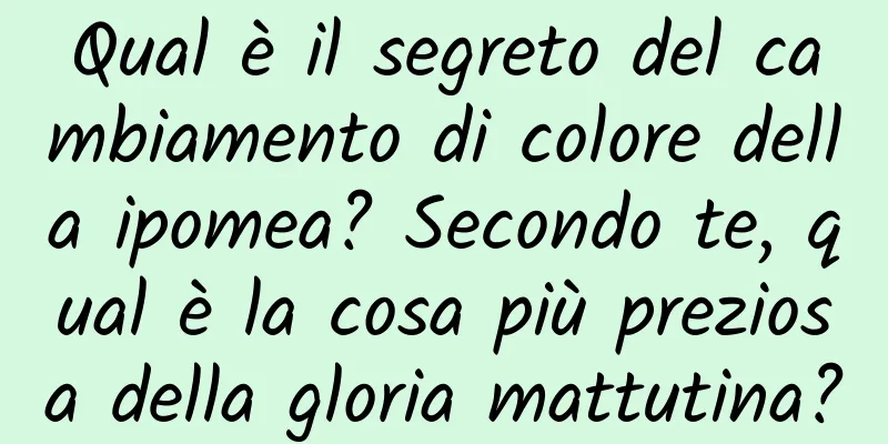Qual è il segreto del cambiamento di colore della ipomea? Secondo te, qual è la cosa più preziosa della gloria mattutina?