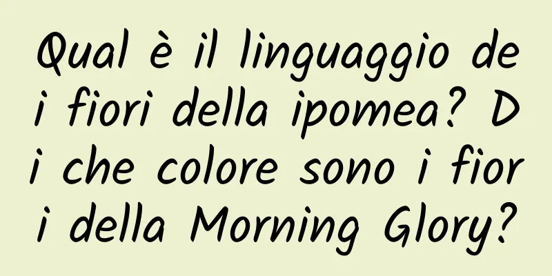 Qual è il linguaggio dei fiori della ipomea? Di che colore sono i fiori della Morning Glory?