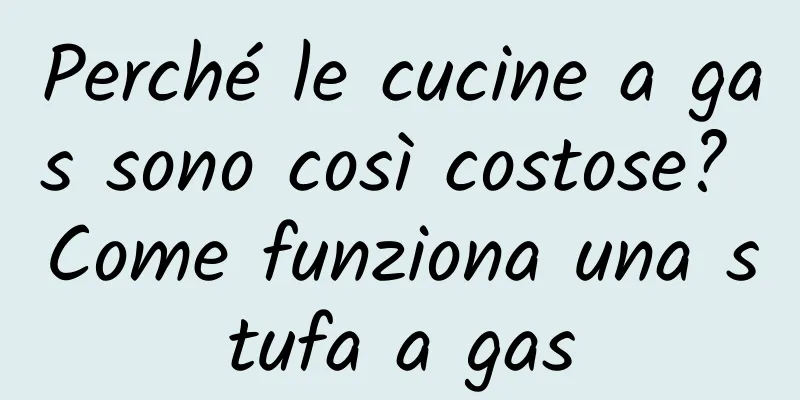 Perché le cucine a gas sono così costose? Come funziona una stufa a gas