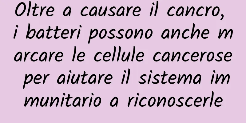 Oltre a causare il cancro, i batteri possono anche marcare le cellule cancerose per aiutare il sistema immunitario a riconoscerle