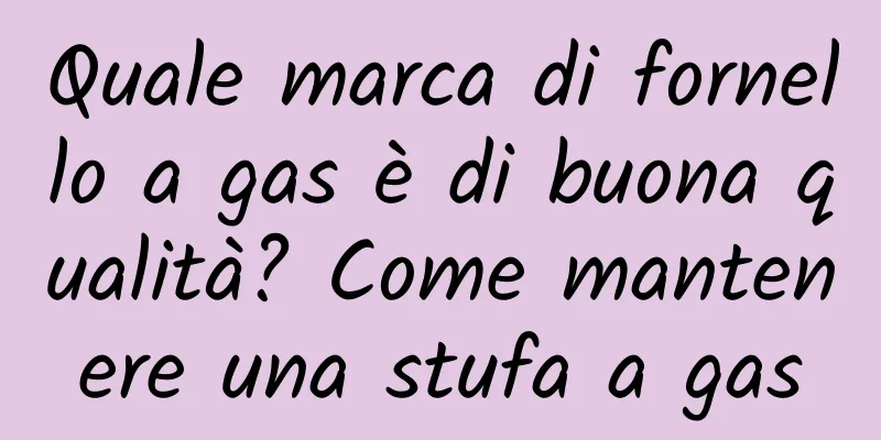 Quale marca di fornello a gas è di buona qualità? Come mantenere una stufa a gas
