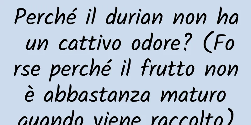 Perché il durian non ha un cattivo odore? (Forse perché il frutto non è abbastanza maturo quando viene raccolto)