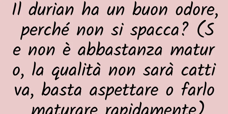 Il durian ha un buon odore, perché non si spacca? (Se non è abbastanza maturo, la qualità non sarà cattiva, basta aspettare o farlo maturare rapidamente)