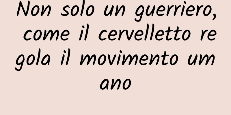 Non solo un guerriero, come il cervelletto regola il movimento umano