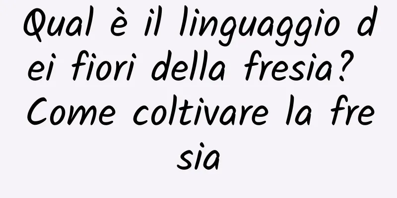 Qual è il linguaggio dei fiori della fresia? Come coltivare la fresia