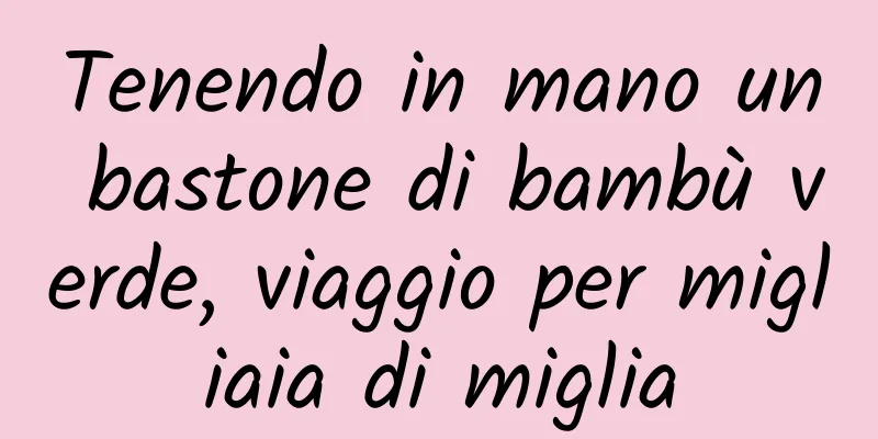 Tenendo in mano un bastone di bambù verde, viaggio per migliaia di miglia