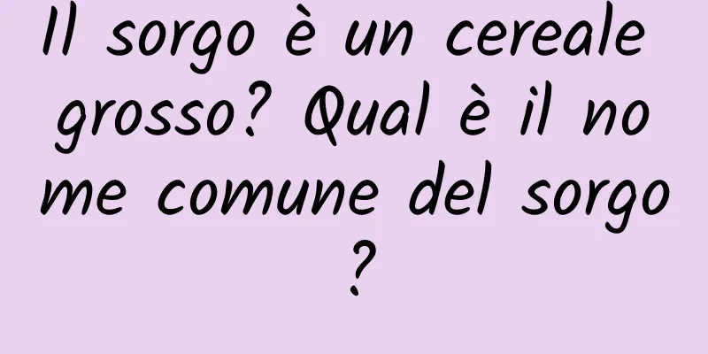 Il sorgo è un cereale grosso? Qual è il nome comune del sorgo?
