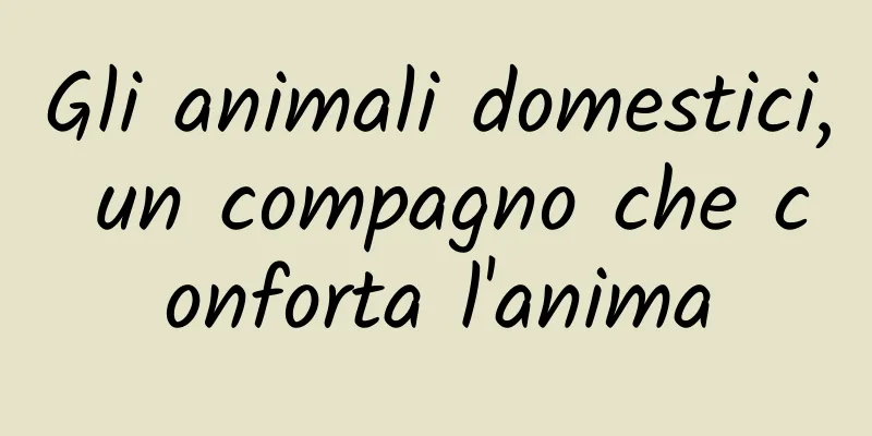 Gli animali domestici, un compagno che conforta l'anima