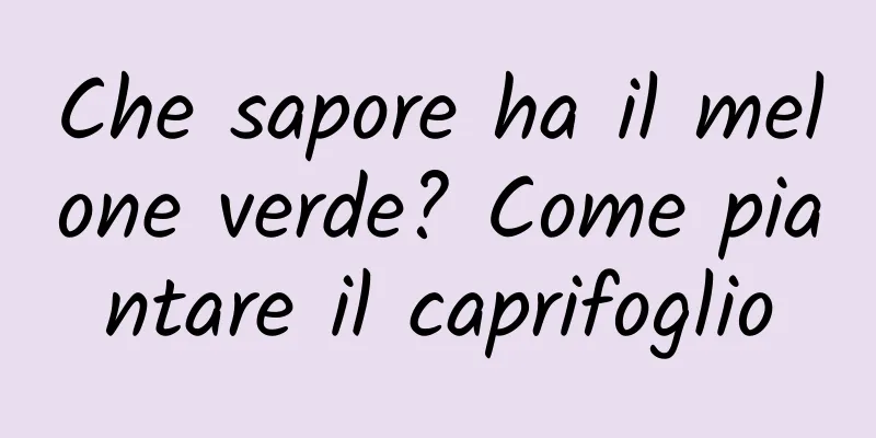 Che sapore ha il melone verde? Come piantare il caprifoglio