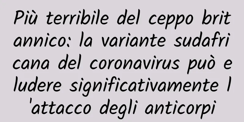 Più terribile del ceppo britannico: la variante sudafricana del coronavirus può eludere significativamente l'attacco degli anticorpi