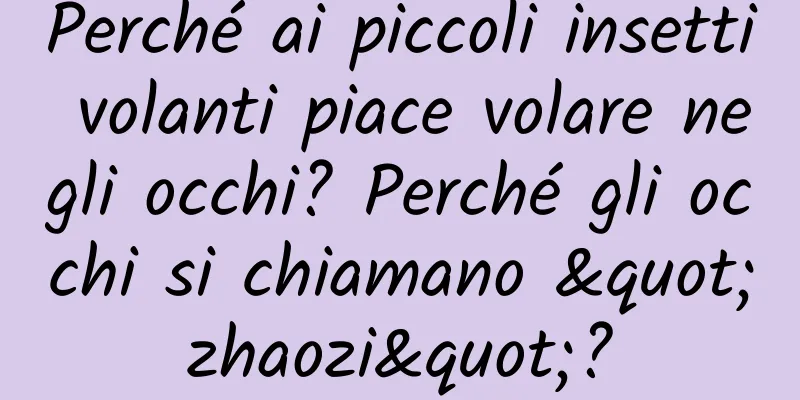 Perché ai piccoli insetti volanti piace volare negli occhi? Perché gli occhi si chiamano "zhaozi"?