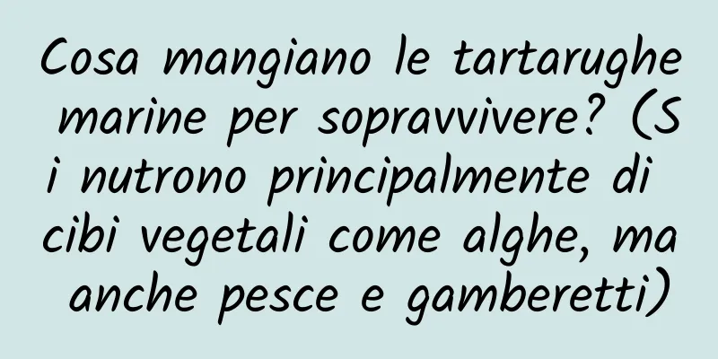 Cosa mangiano le tartarughe marine per sopravvivere? (Si nutrono principalmente di cibi vegetali come alghe, ma anche pesce e gamberetti)