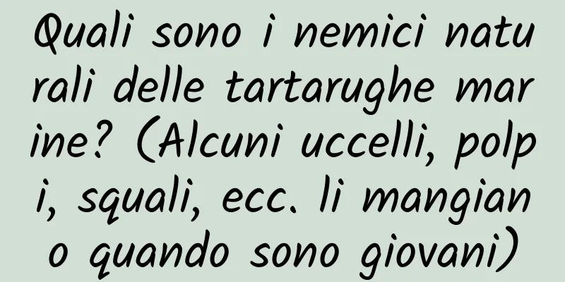 Quali sono i nemici naturali delle tartarughe marine? (Alcuni uccelli, polpi, squali, ecc. li mangiano quando sono giovani)