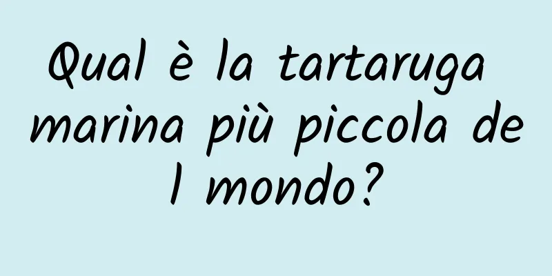 Qual è la tartaruga marina più piccola del mondo?