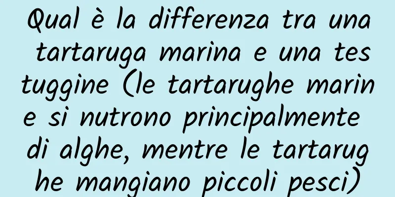 Qual è la differenza tra una tartaruga marina e una testuggine (le tartarughe marine si nutrono principalmente di alghe, mentre le tartarughe mangiano piccoli pesci)
