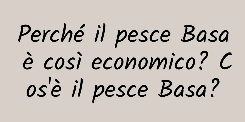 Perché il pesce Basa è così economico? Cos'è il pesce Basa?