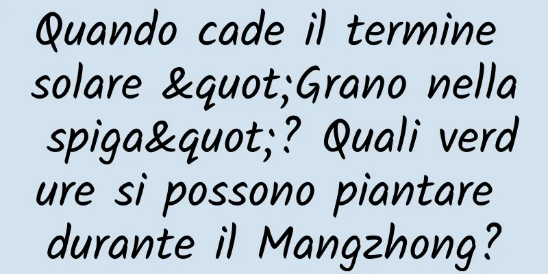 Quando cade il termine solare "Grano nella spiga"? Quali verdure si possono piantare durante il Mangzhong?