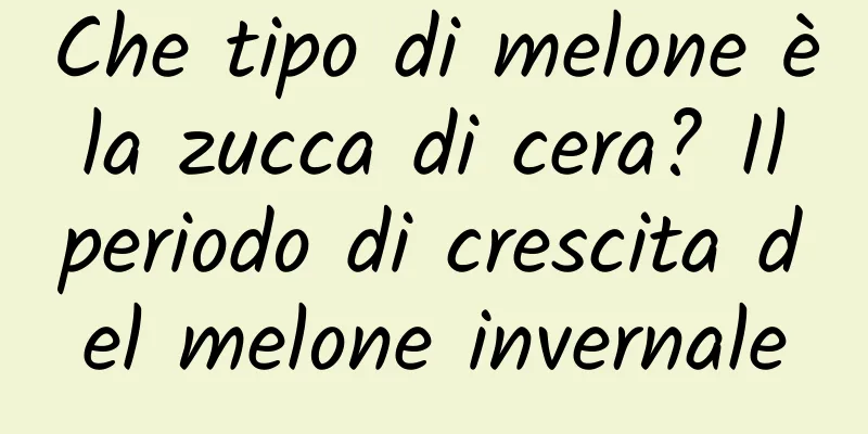 Che tipo di melone è la zucca di cera? Il periodo di crescita del melone invernale