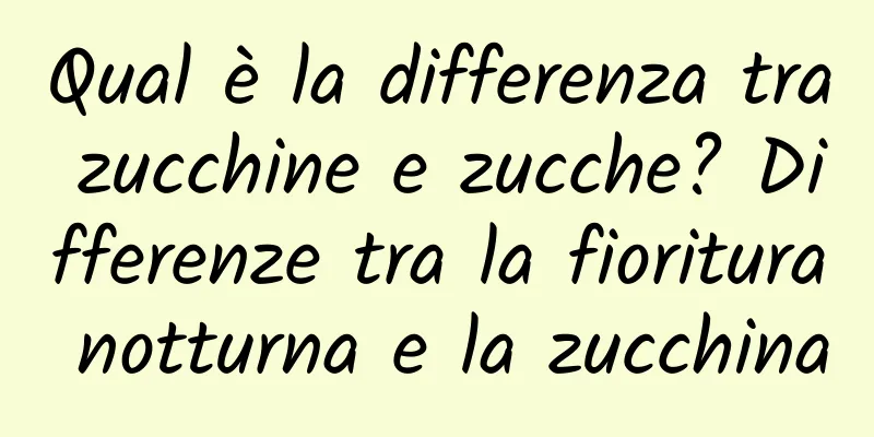 Qual è la differenza tra zucchine e zucche? Differenze tra la fioritura notturna e la zucchina