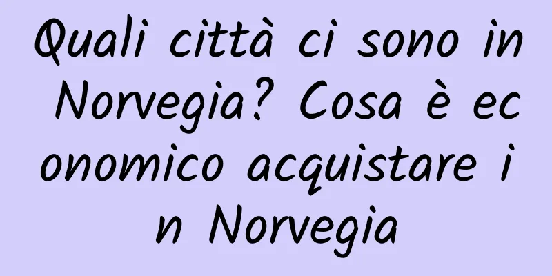Quali città ci sono in Norvegia? Cosa è economico acquistare in Norvegia
