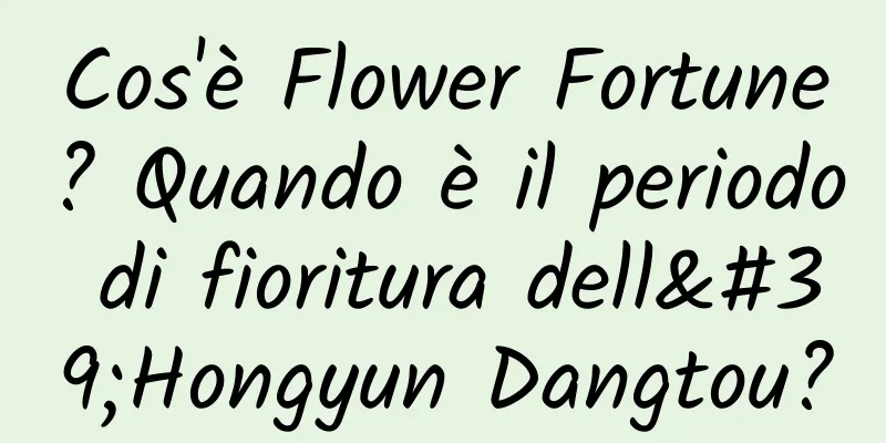 Cos'è Flower Fortune? Quando è il periodo di fioritura dell'Hongyun Dangtou?