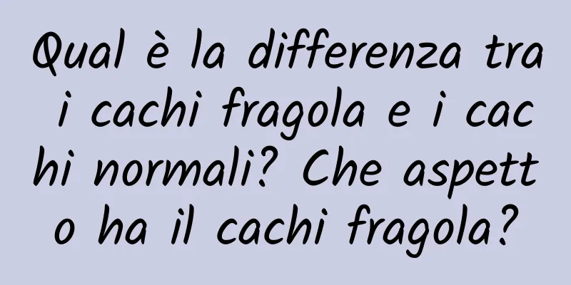 Qual è la differenza tra i cachi fragola e i cachi normali? Che aspetto ha il cachi fragola?