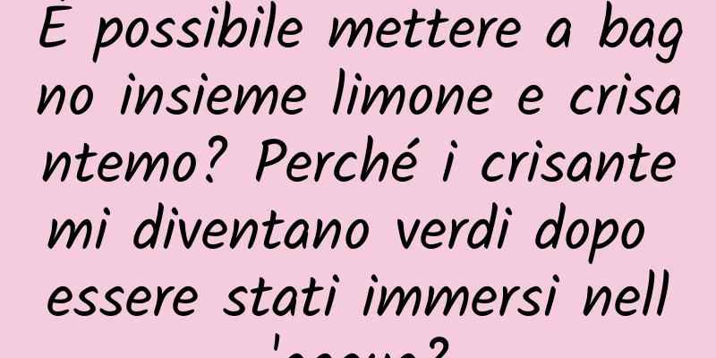 È possibile mettere a bagno insieme limone e crisantemo? Perché i crisantemi diventano verdi dopo essere stati immersi nell'acqua?