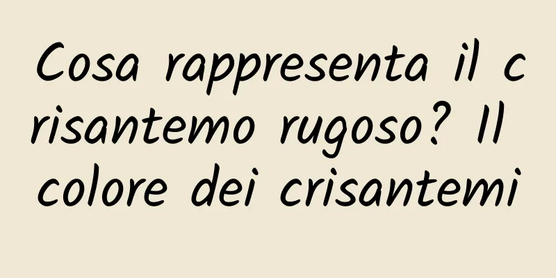 Cosa rappresenta il crisantemo rugoso? Il colore dei crisantemi