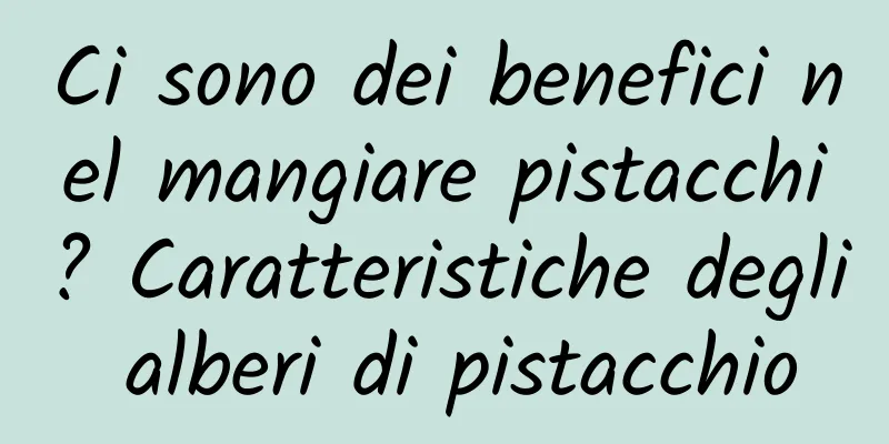 Ci sono dei benefici nel mangiare pistacchi? Caratteristiche degli alberi di pistacchio