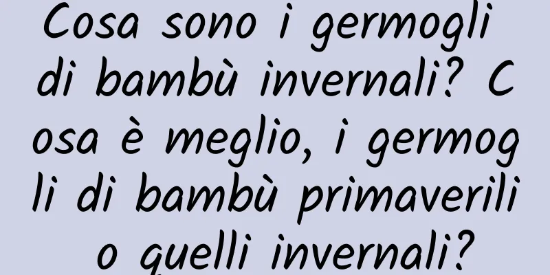 Cosa sono i germogli di bambù invernali? Cosa è meglio, i germogli di bambù primaverili o quelli invernali?