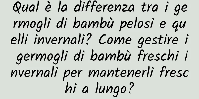 Qual è la differenza tra i germogli di bambù pelosi e quelli invernali? Come gestire i germogli di bambù freschi invernali per mantenerli freschi a lungo?