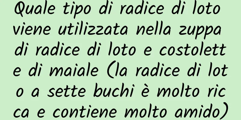 Quale tipo di radice di loto viene utilizzata nella zuppa di radice di loto e costolette di maiale (la radice di loto a sette buchi è molto ricca e contiene molto amido)