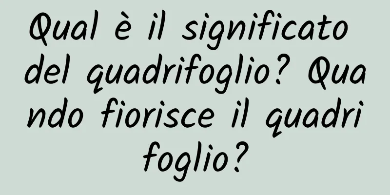 Qual è il significato del quadrifoglio? Quando fiorisce il quadrifoglio?