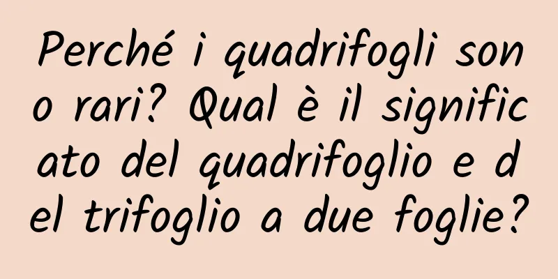 Perché i quadrifogli sono rari? Qual è il significato del quadrifoglio e del trifoglio a due foglie?