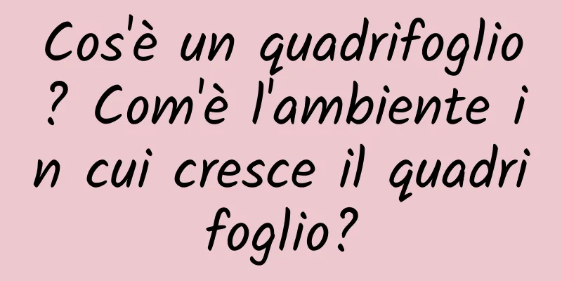 Cos'è un quadrifoglio? Com'è l'ambiente in cui cresce il quadrifoglio?