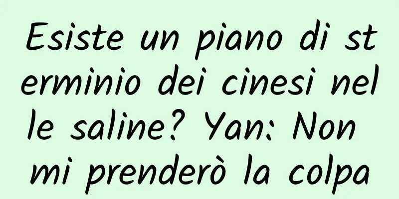 Esiste un piano di sterminio dei cinesi nelle saline? Yan: Non mi prenderò la colpa