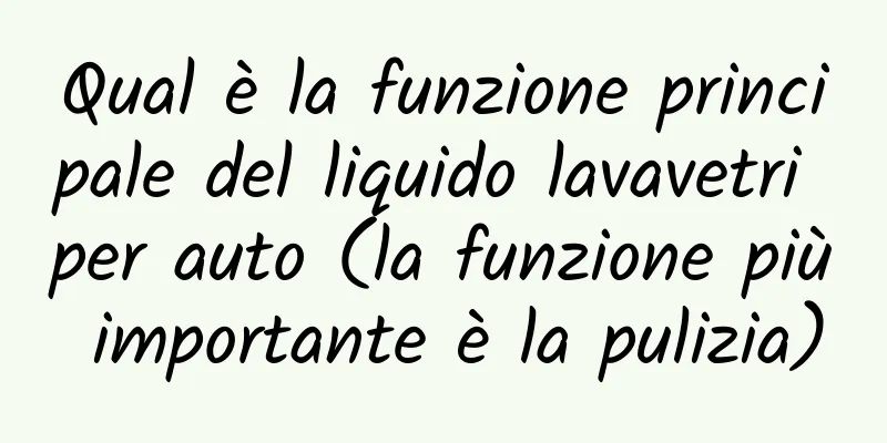 Qual è la funzione principale del liquido lavavetri per auto (la funzione più importante è la pulizia)