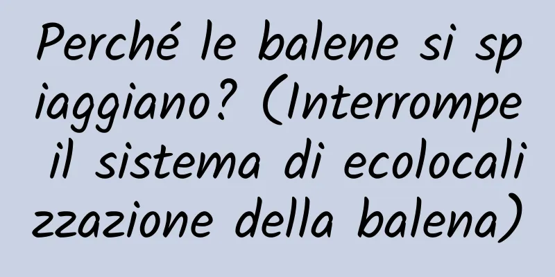 Perché le balene si spiaggiano? (Interrompe il sistema di ecolocalizzazione della balena)